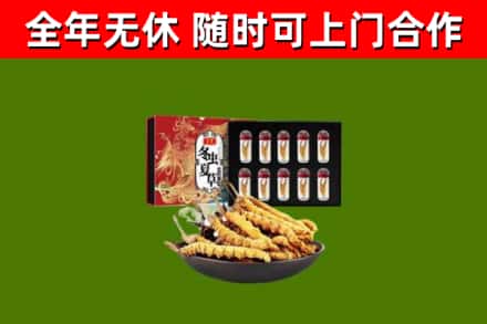荷泽回收冬虫夏草价格