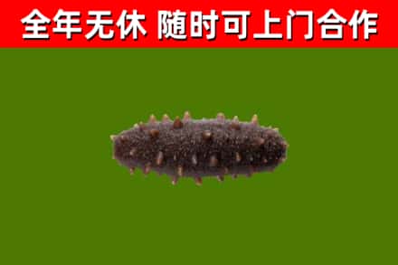 荷泽烟酒回收干海参.jpg